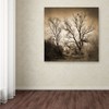 Trademark Fine Art Philippe Sainte-Laudy 'Sepia Ghost' Canvas Art, 24x24 PSL0181-C2424GG